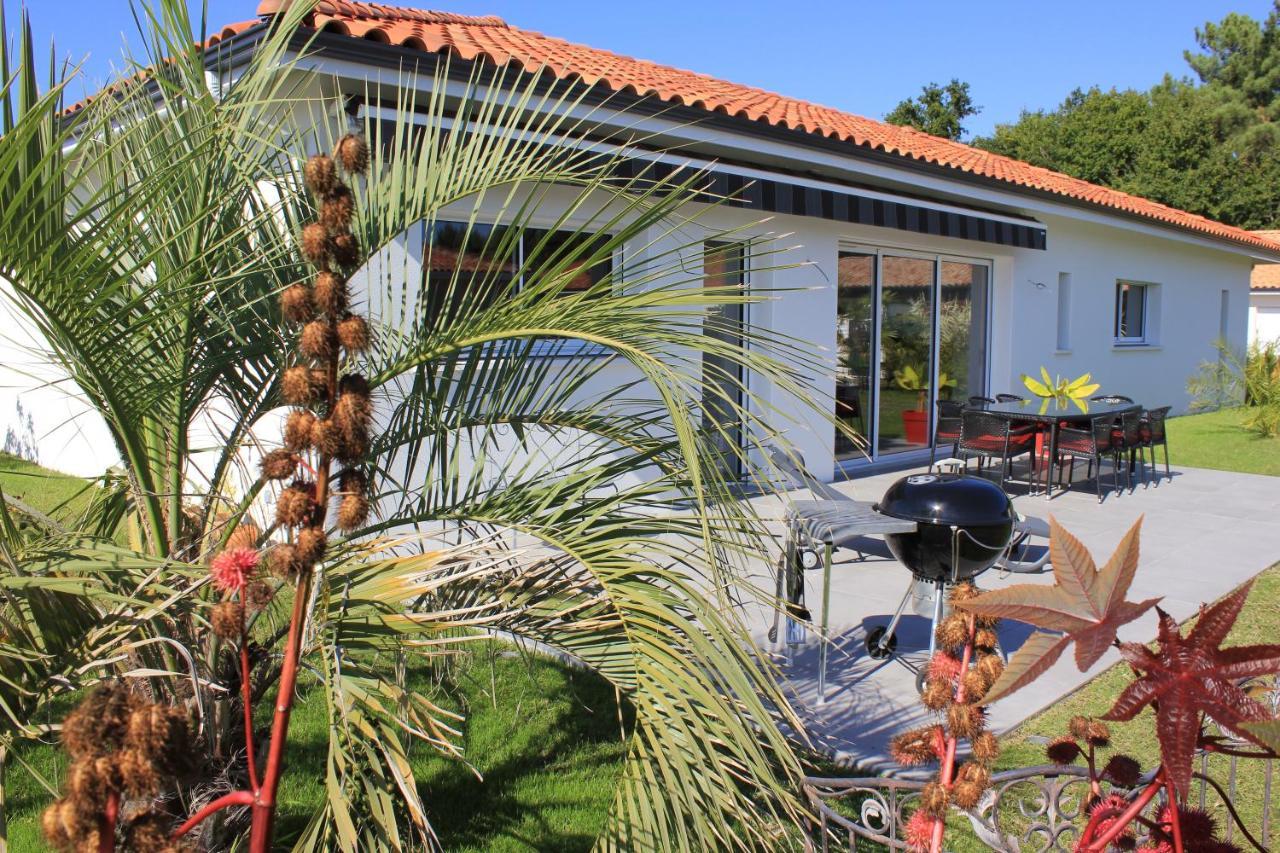 L'Entrelacs Chambre D'Hotes Avec Piscine ,Proche Golfs Et Bassin D'Arcachon Sanguinet Exterior foto